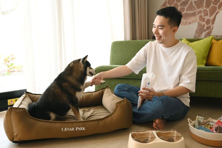 墾丁凱撒【毛孩假期｜寵物友善 一泊一食】住房專案